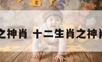 十二生肖之神肖 十二生肖之神肖是哪几肖