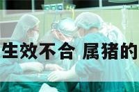 属猪与什么生效不合 属猪的与什么不合