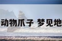 梦见洞里有动物爪子 梦见地洞里有动物