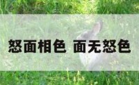 怒面相色 面无怒色