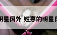 姓惠的明星国外 姓惠的明星国外名字