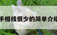 手相线很少的简单介绍