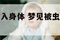 梦见被虫子钻入身体 梦见被虫子钻入身体什么意思