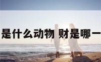 财丁是什么动物 财是哪一生肖