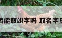 属鸡能取翊字吗 取名字属鸡