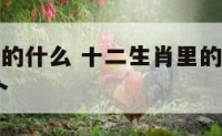 十二生肖里的什么 十二生肖里的什么动物牙齿有七,八个