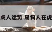狗年属虎人运势 属狗人在虎年运势