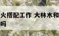 大林木炉中火搭配工作 大林木和炉中火合伙做生意可以吗