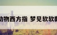 梦见软体动物西方指 梦见软软黏黏的动物