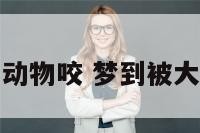 梦到被大型动物咬 梦到被大型动物咬伤