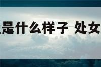 处女座的城堡是什么样子 处女座涵盖的区域排第几