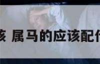 属马的应该 属马的应该配什么最合适