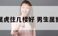 男属猴女属虎住几楼好 男生属猴女生属虎