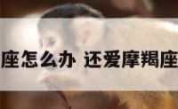 还爱摩羯座怎么办 还爱摩羯座怎么办呢