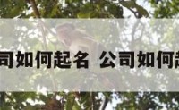 小公司如何起名 公司如何起名?