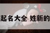 新字辈男孩起名大全 姓新的男孩的名字
