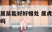 属虎的人和属鼠能好好相处 属虎人和属鼠人能够在一起吗