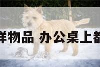 办公桌上五样物品 办公桌上都应该有什么