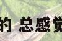 家里感觉阴森森的 总感觉家里阴冷怎么办