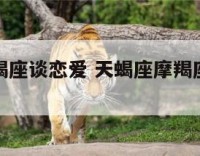 天蝎座摩羯座谈恋爱 天蝎座摩羯座谈恋爱怎么样