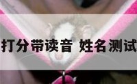 姓名测试打分带读音 姓名测试打分周易