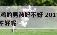 2017属鸡的男孩好不好 2017属鸡的男孩好不好呢