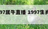 话题1997属牛直播 1997生肖牛运势如何