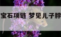 梦见儿子戴宝石项链 梦见儿子脖子上戴的项链