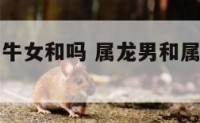 属龙男和属牛女和吗 属龙男和属牛女能在一起吗
