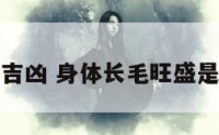 身体长毛吉凶 身体长毛旺盛是什么原因