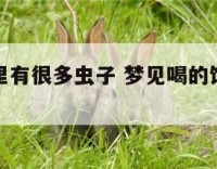 梦到饮料里有很多虫子 梦见喝的饮料里有苍蝇