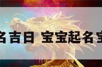 宝宝起名吉日 宝宝起名宝典免费