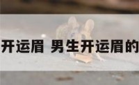 男生开运眉 男生开运眉的文案