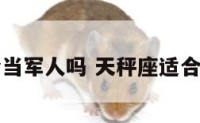 天秤座适合当军人吗 天秤座适合当明星吗男