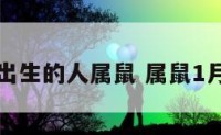 元月出生的人属鼠 属鼠1月出生