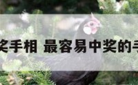 中奖手相 最容易中奖的手相