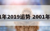 2001年2019运势 2001年运气