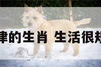 生活很规律的生肖 生活很规律叫什么