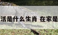 在家生活是什么生肖 在家是什么呀