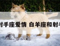 白羊座和射手座爱情 白羊座和射手座有缘吗