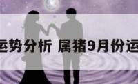 属猪9月运势分析 属猪9月份运势怎么样