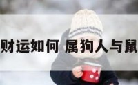 属狗遇鼠年财运如何 属狗人与鼠年运势如何