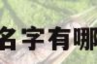宝宝起名宇什么名字有哪些 宇的宝宝名字