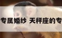 天秤座专属婚纱 天秤座的专属婚纱