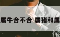 属猪的跟属牛合不合 属猪和属牛的合吗