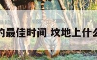 坟地植树的最佳时间 坟地上什么时候栽树