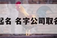 沙公司起名 名字公司取名大全集