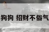 招财的名字狗狗 招财不俗气的狗狗名字