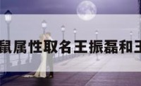 火鼠属 火鼠属性取名王振磊和王烨那个好