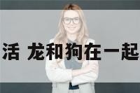 龙和狗幸福生活 龙和狗在一起生个什么宝宝